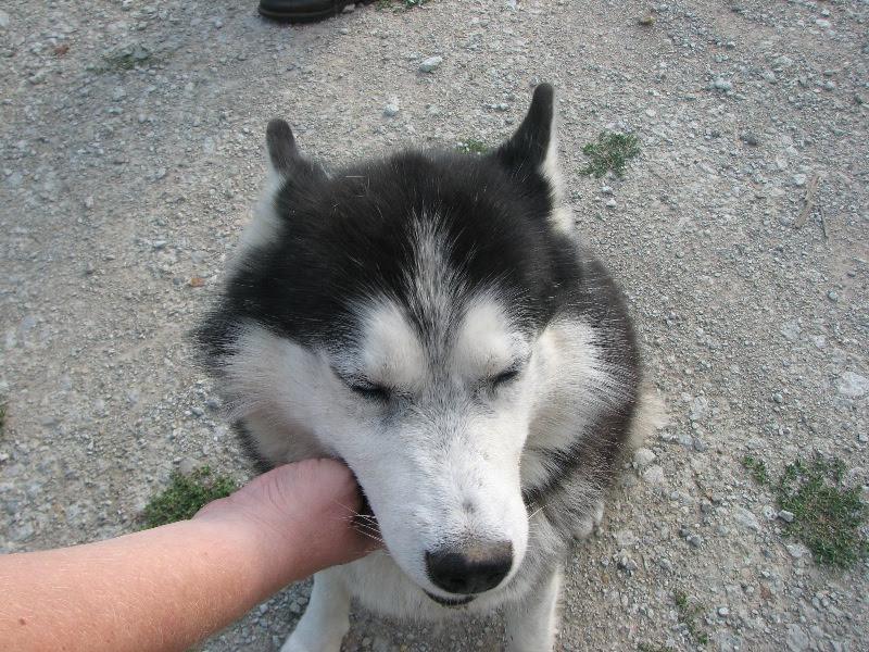 [ pilt: IMG_6665.jpg ]