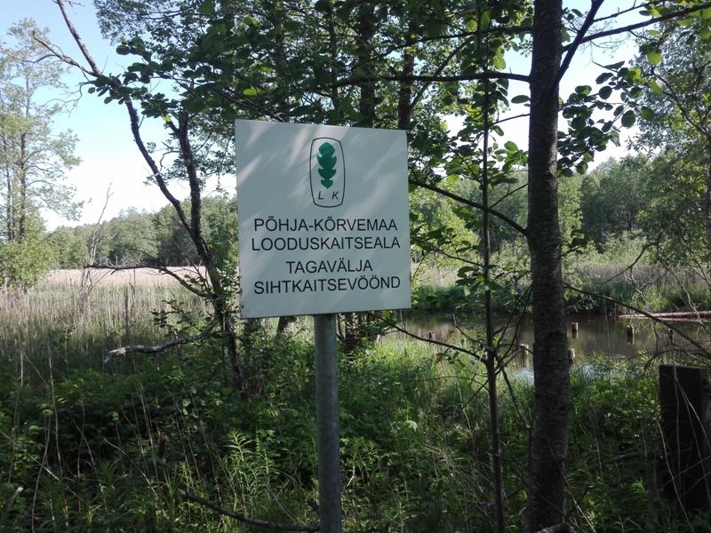 [ pilt: IMG_20190605_104258.jpg ]