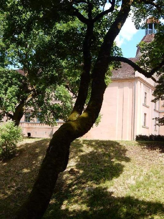 [ pilt: DSCN1463.jpg ]