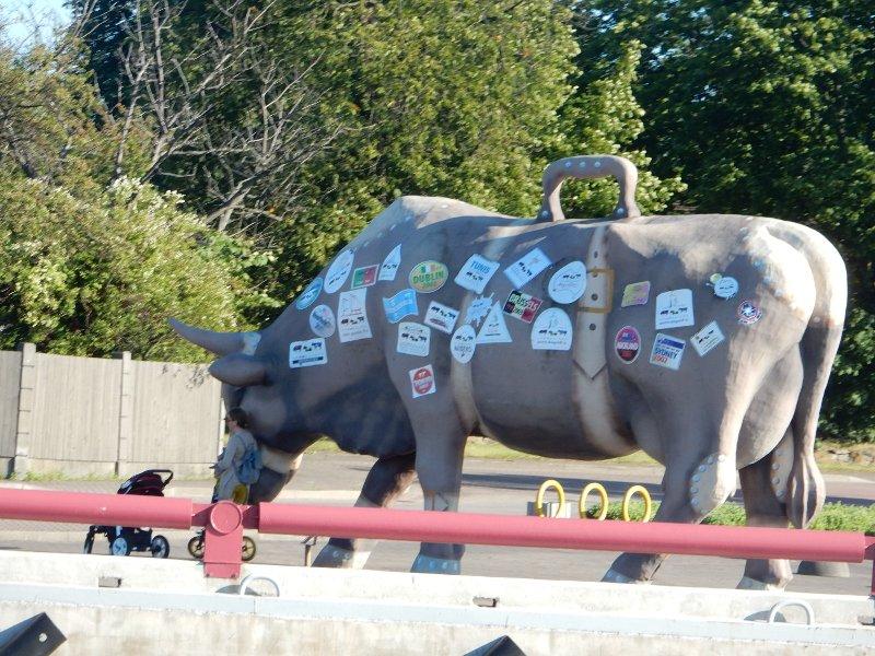 [ pilt: DSCN1584.jpg ]