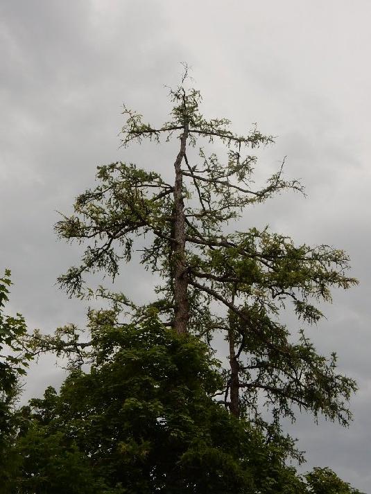 [ pilt: DSCN1834.jpg ]