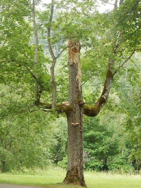 [ pilt: DSCN1838.jpg ]