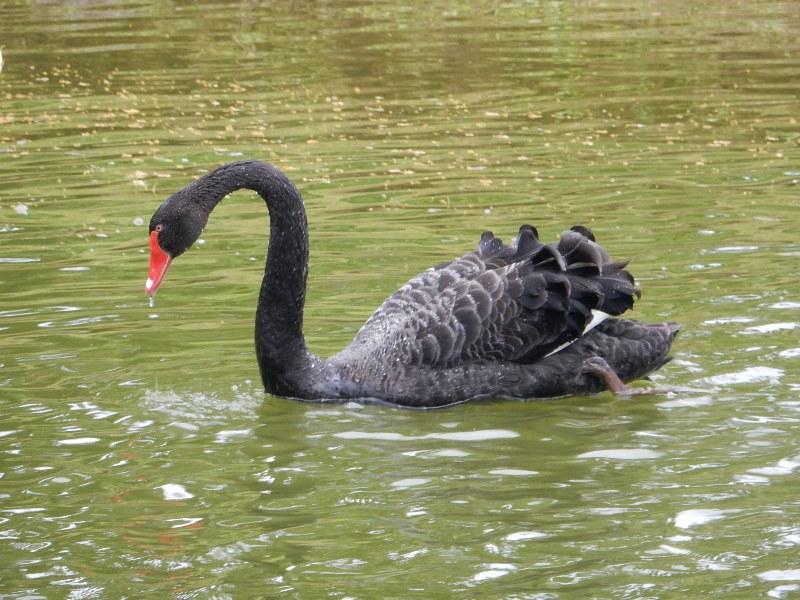 [ pilt: DSCN1928.jpg ]