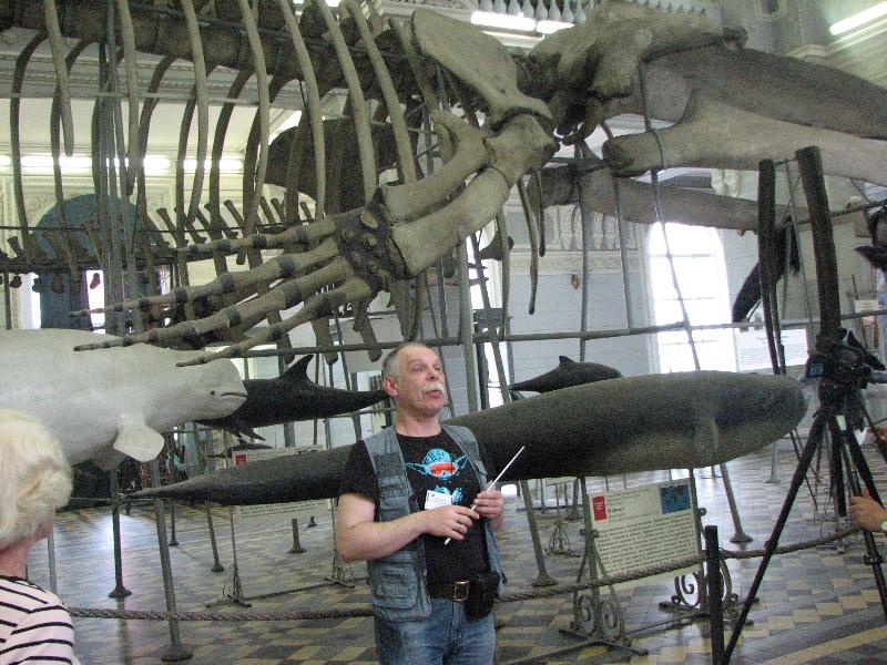 [ pilt: IMG_4943.JPG ]