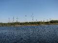 [ pilt: IMG_2390.JPG ]