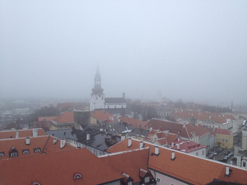 [ pilt: IMG_7065.JPG ]