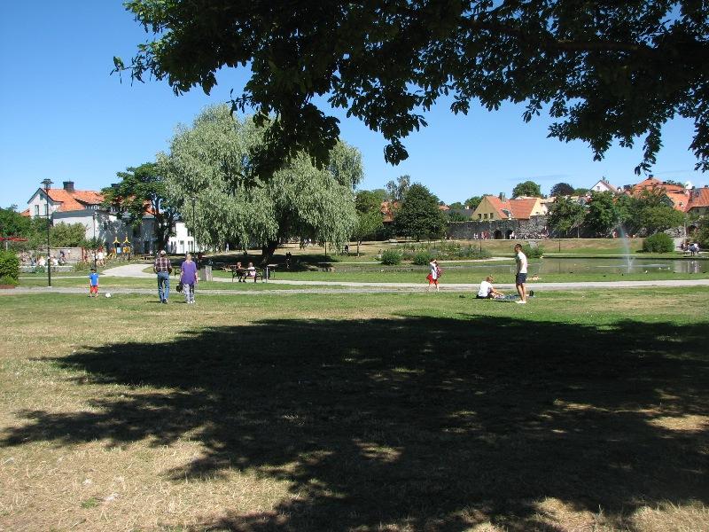 [ pilt: IMG_2715.JPG ]