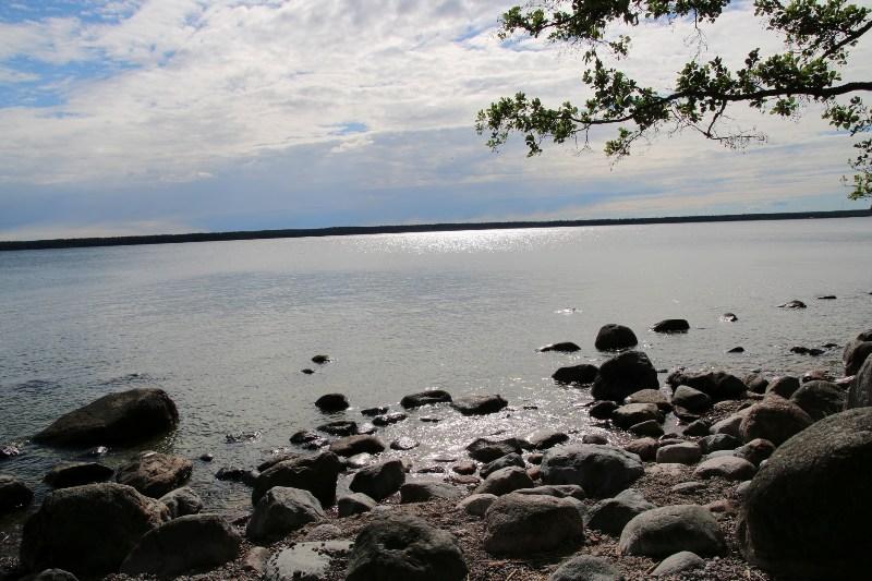 [ pilt: IMG_8519.JPG ]