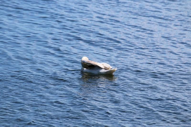 [ pilt: IMG_8935.JPG ]