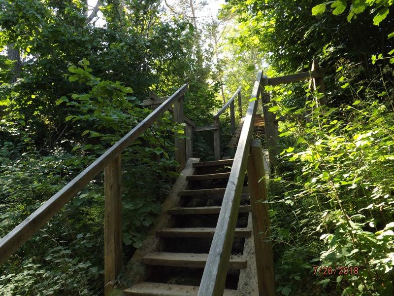 [ pilt: kuramaa096.jpg ]