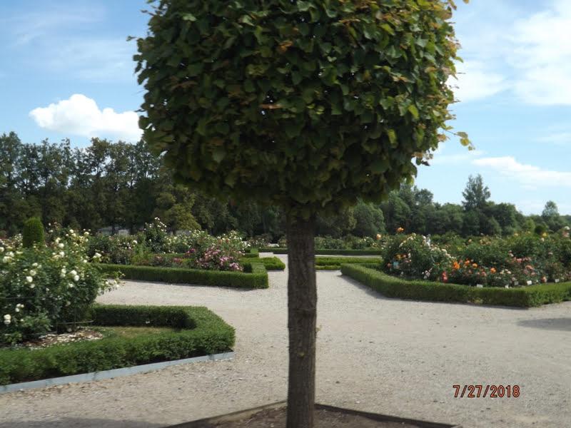 [ pilt: kuramaa300.jpg ]