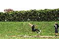 [ pilt: IMG_1467.JPG ]