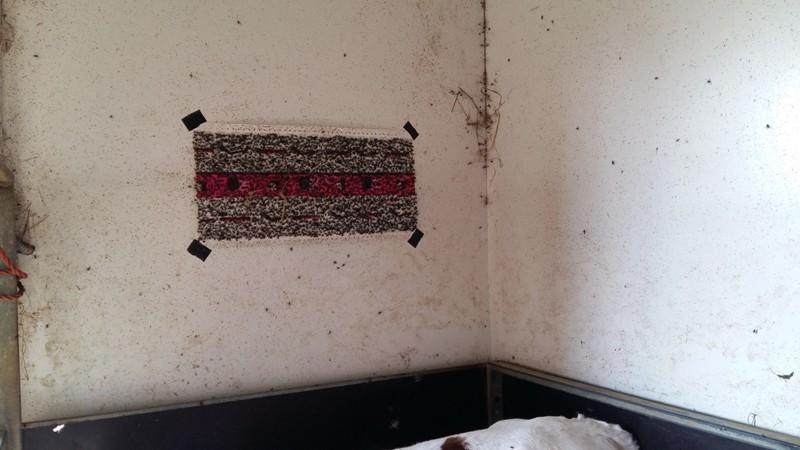 [ pilt: 20190926_134326.jpg ]