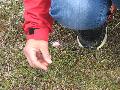 [ pilt: IMG_6779.JPG ]