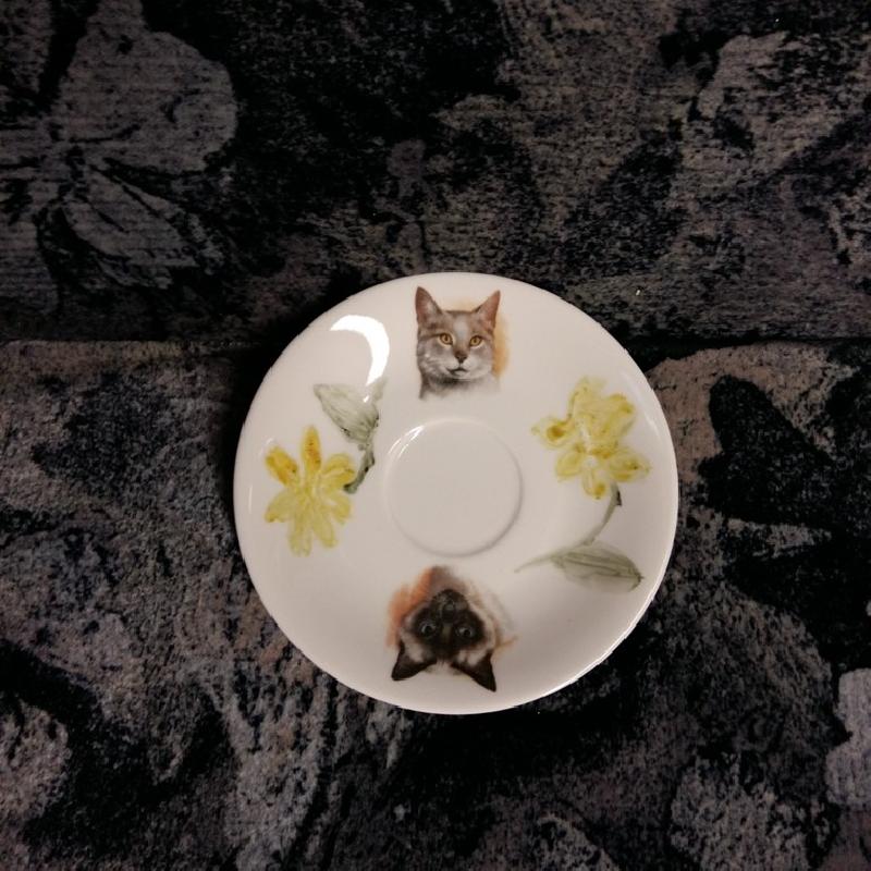 [ pilt: 20161219_110802.jpg ]