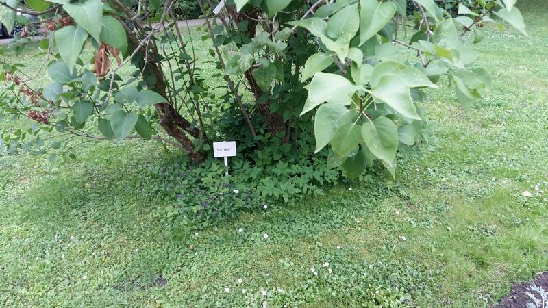 [ pilt: 20180706_162641.jpg ]