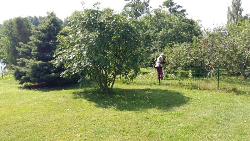 [ pilt: 20180707_112358.jpg ]