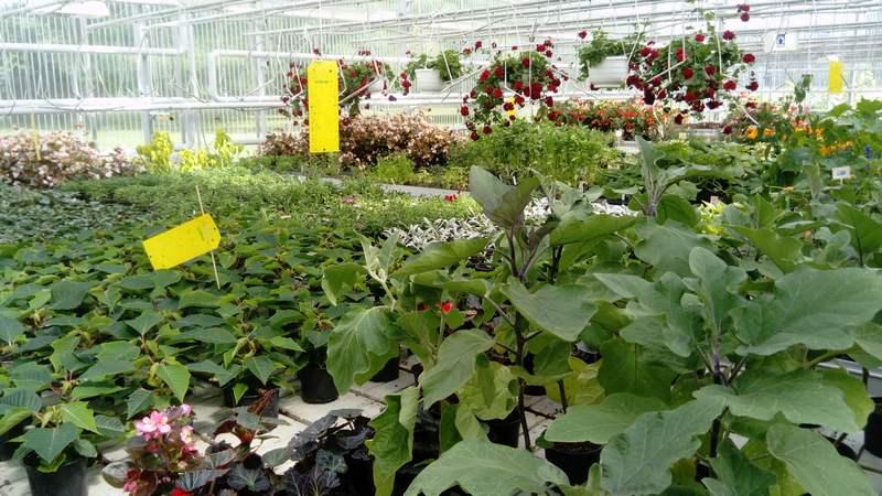 [ pilt: 36796730_1780242072068188_3037584129395785728_n.jpg ]