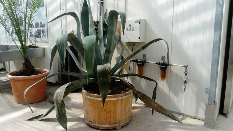 [ pilt: 36858849_1780244815401247_5332446376112422912_n.jpg ]