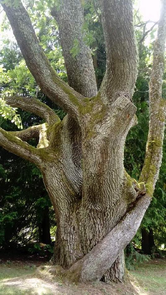 [ pilt: 36868126_1780244738734588_1436063435434491904_n.jpg ]