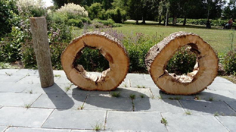 [ pilt: 36898680_1780239282068467_3852858863086731264_n.jpg ]