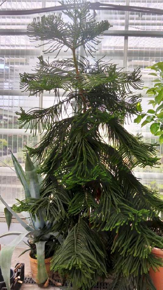 [ pilt: 36903198_1780244352067960_5124076428589006848_n.jpg ]