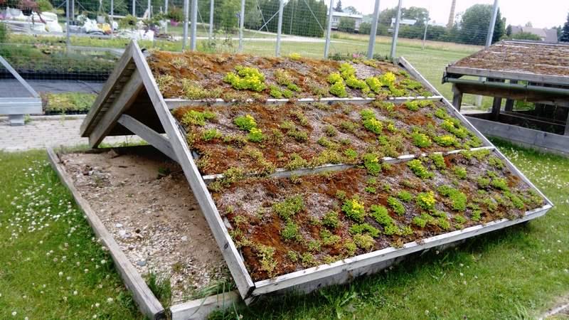 [ pilt: 36948573_1780245155401213_5849151596318949376_n.jpg ]