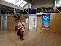 [ pilt: IMG_7504.JPG ]