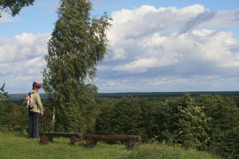 [ pilt nr. 44 ]