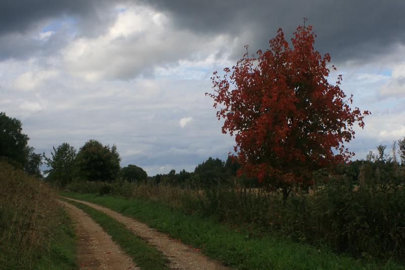 [ pilt nr. 34 ]
