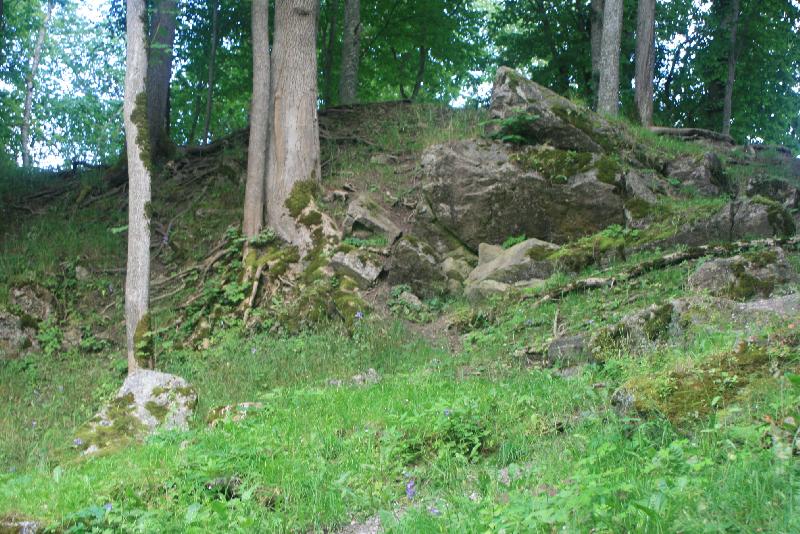[ pilt nr. 117 ]